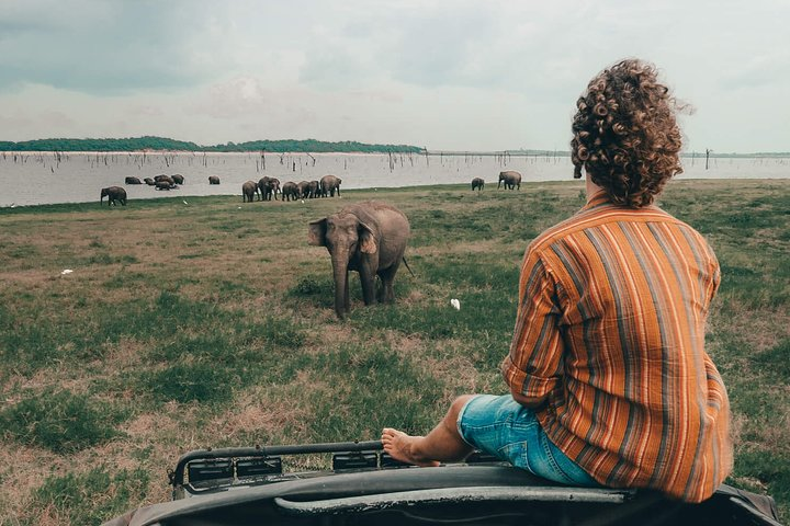 Colombo to Trincomalee Shuttle & Safari Drive - Photo 1 of 8